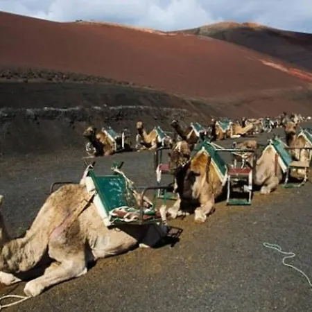 Loft Volcanes La Costa